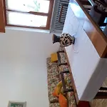 Casa Romme Apartment *
